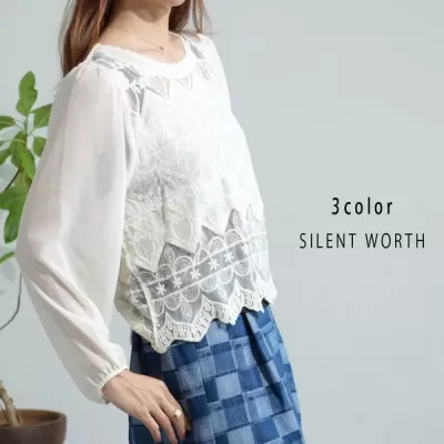 袖シフォン刺繍チュールプルオーバー