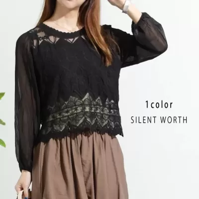 袖シワ加工シフォン刺繍チュールプルオーバー